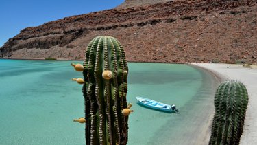 Hermosa Baja California Sur